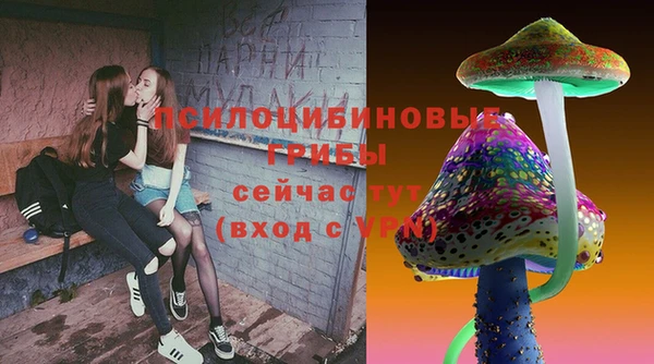 бошки Гусь-Хрустальный
