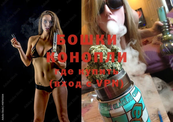ГАЛЛЮЦИНОГЕННЫЕ ГРИБЫ Горно-Алтайск