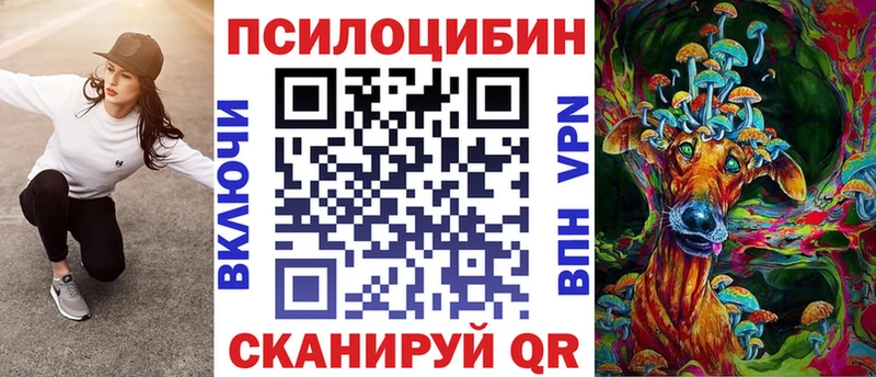 где купить   hydra ТОР  Псилоцибиновые грибы MAGIC MUSHROOMS  Кызыл 